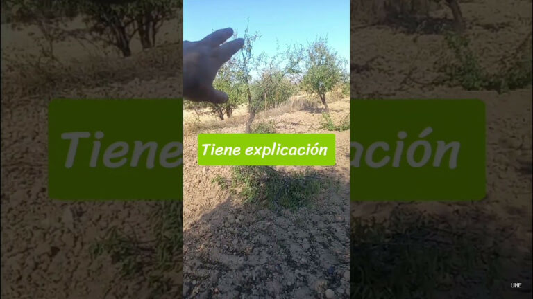 Un Murciano Encabronao | October 13, 2026 | Agrostreaming o podatube